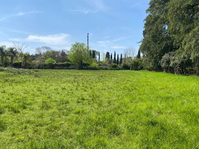 place photo 43