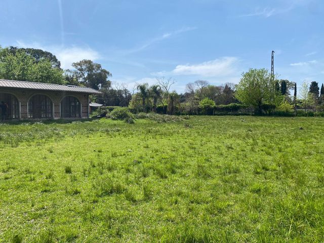 place photo 29
