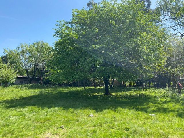 place photo 40