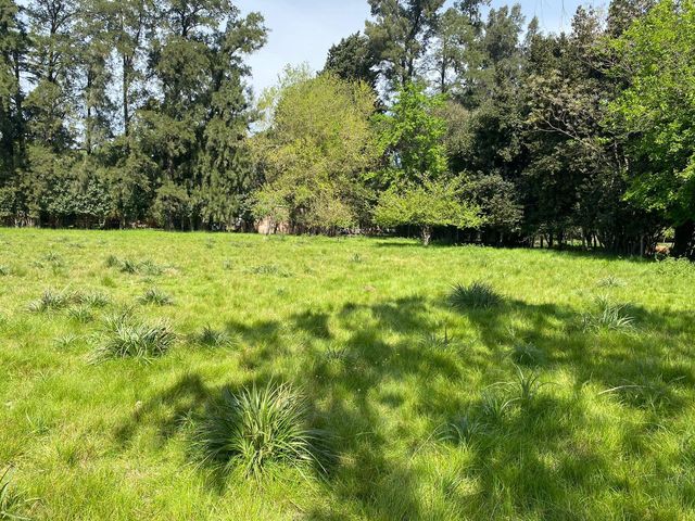 place photo 39