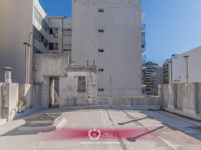 place photo 39