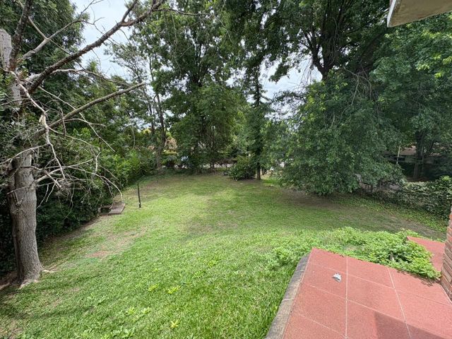 place photo 40