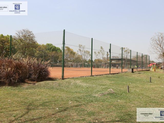 place photo 28