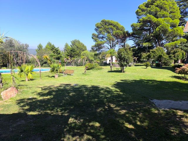 place photo 36