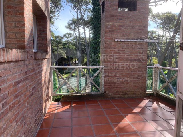place photo 55