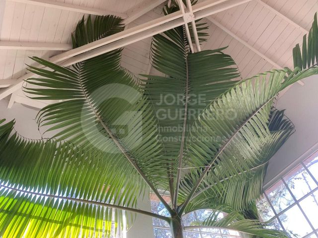 place photo 42