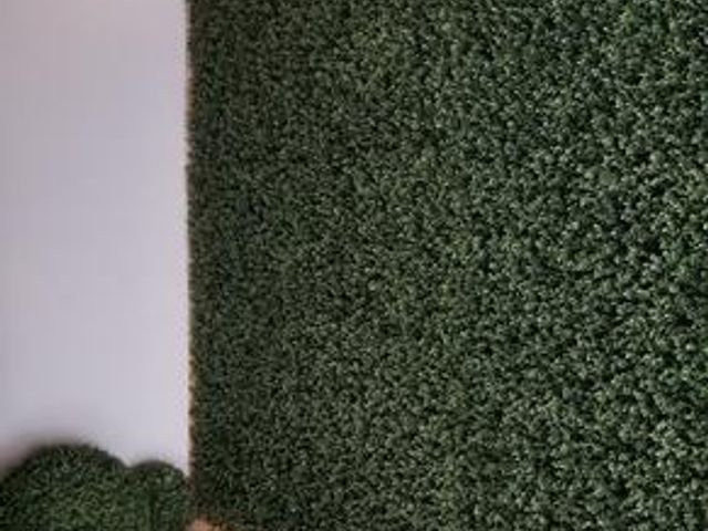 place photo 51