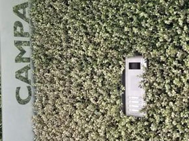 place photo 49