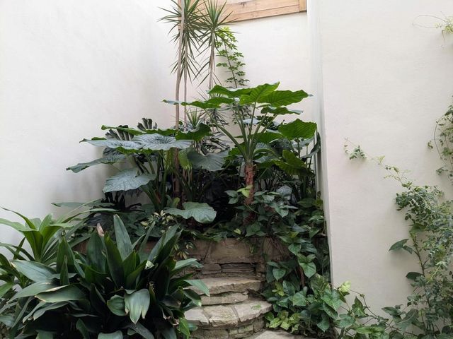 place photo 23