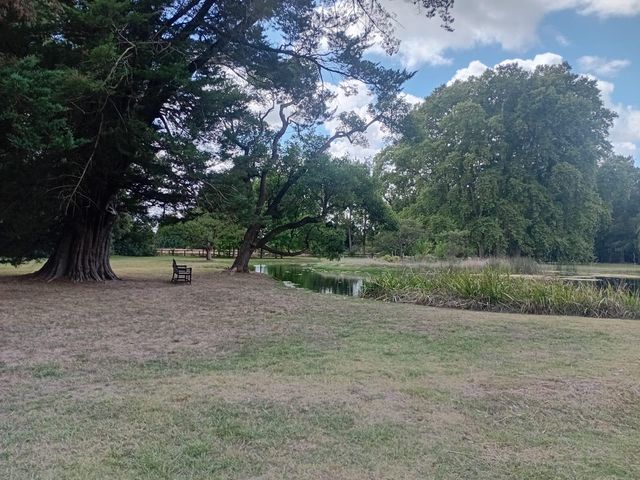place photo 69
