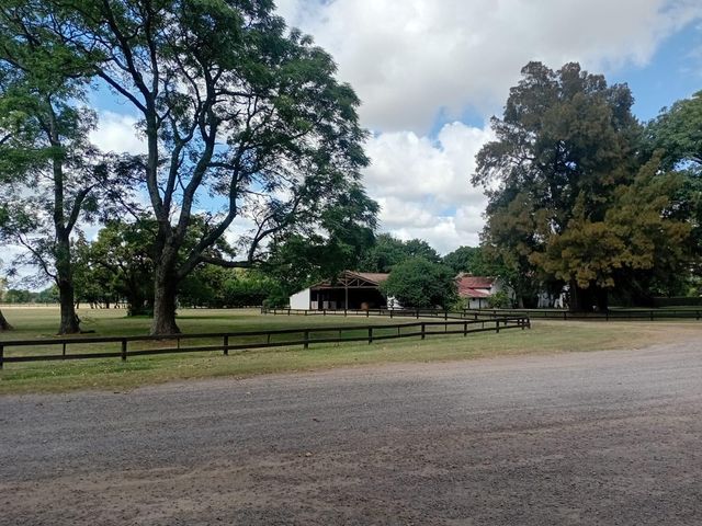 place photo 68