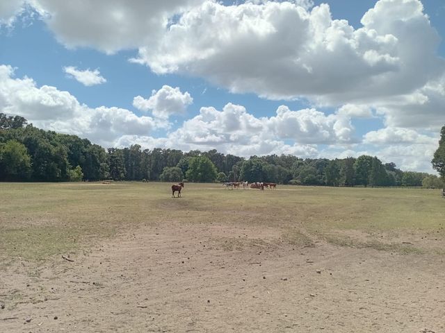 place photo 64