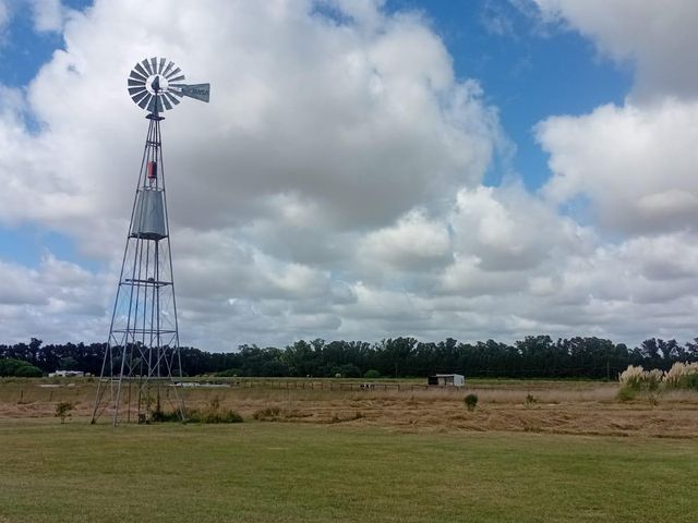 place photo 16