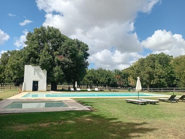 place photo 57