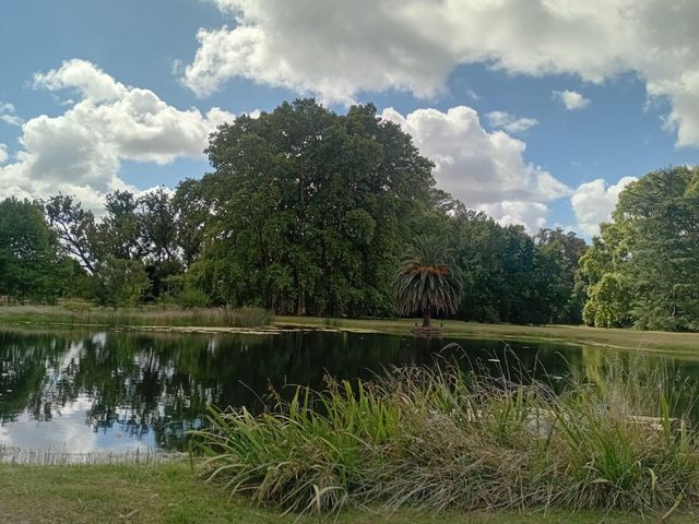 place photo 71