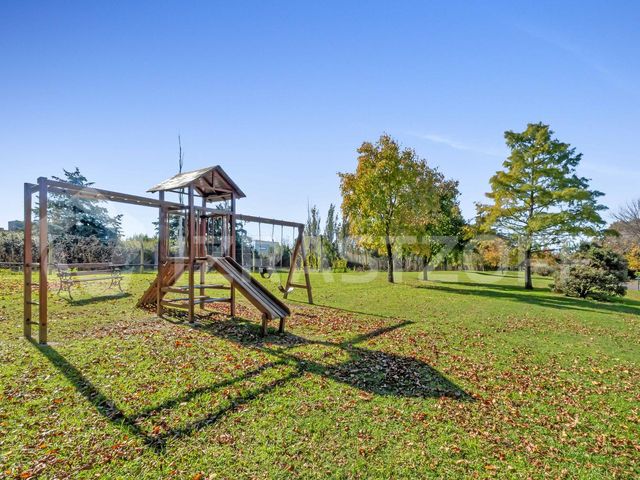 place photo 56
