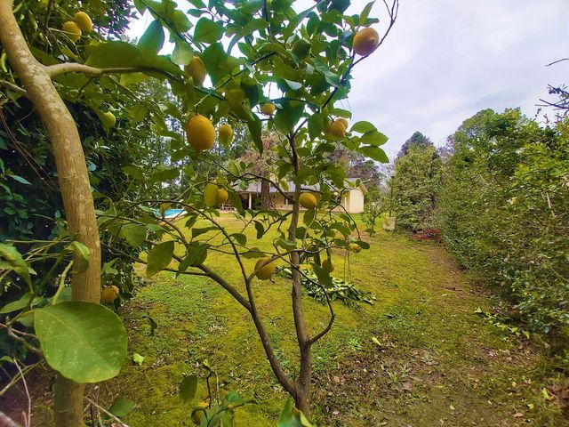 place photo 40