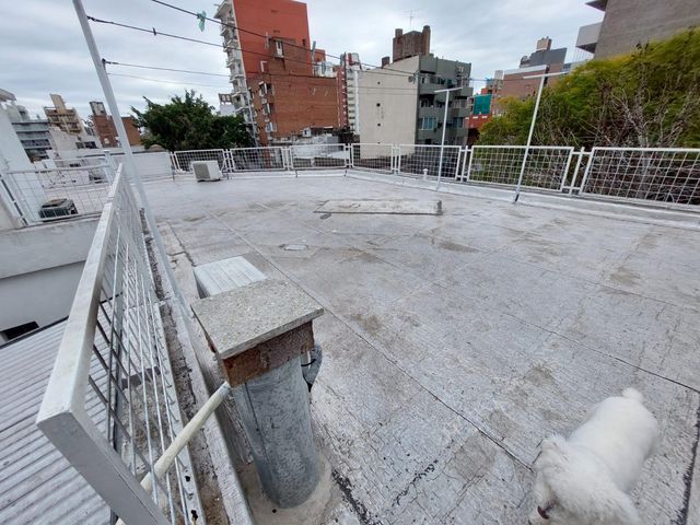 place photo 27