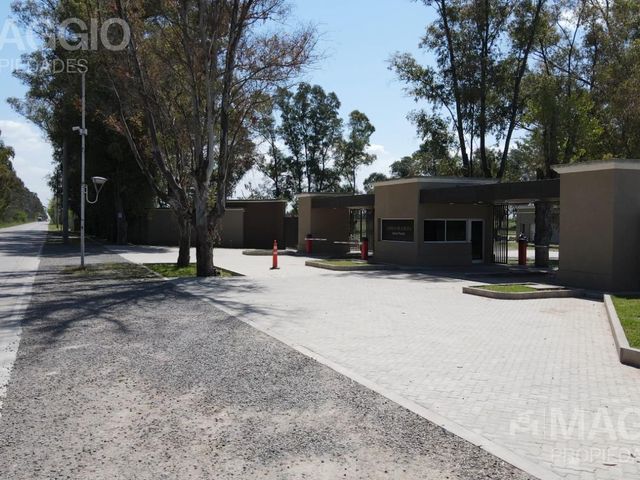 place photo 21