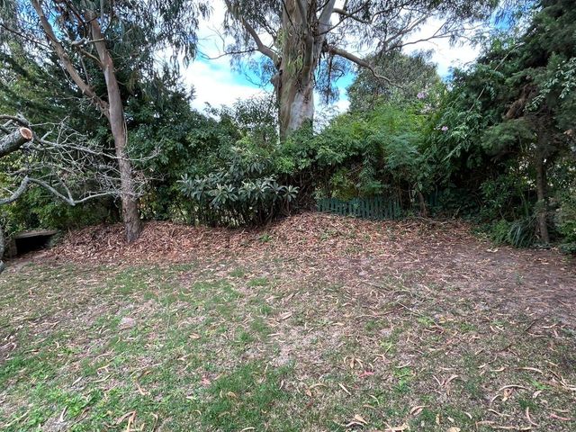 place photo 21