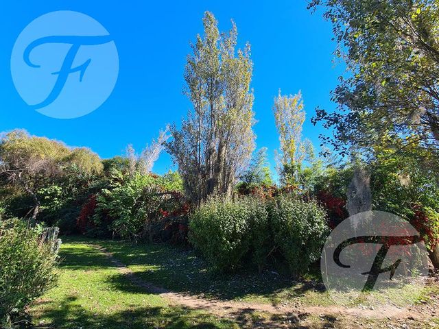 place photo 45