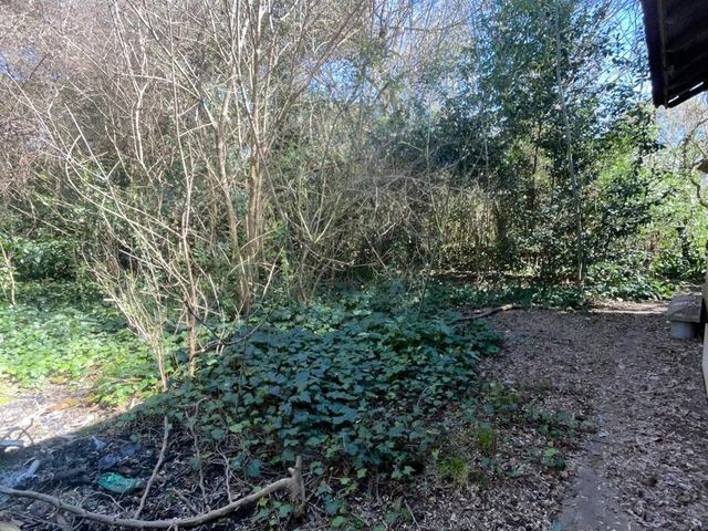 place photo 24