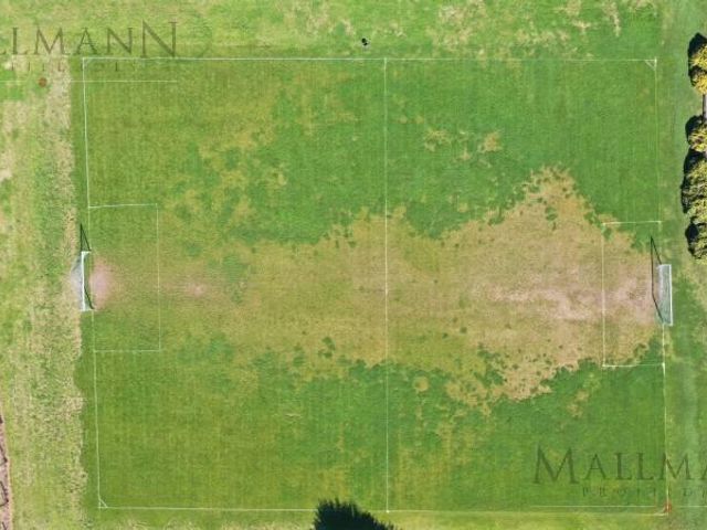 place photo 50