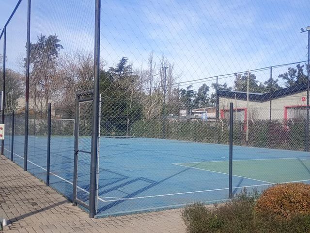 place photo 14