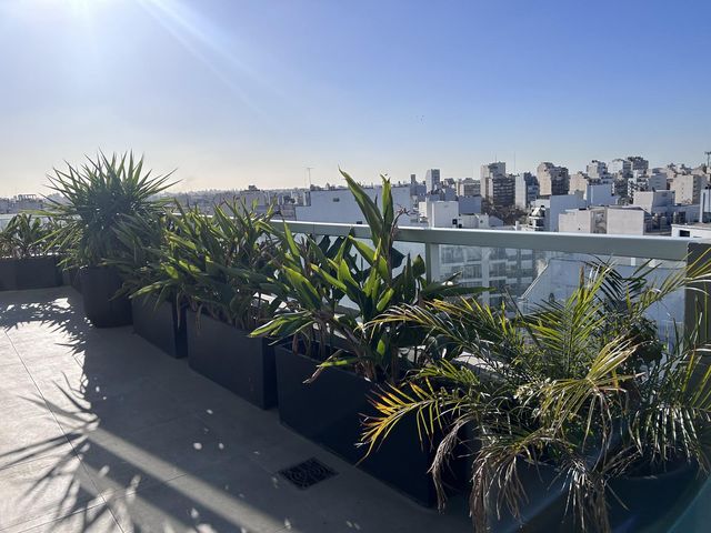 place photo 30