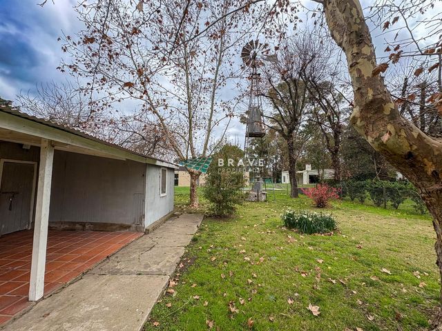 place photo 21