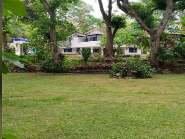 place photo 26