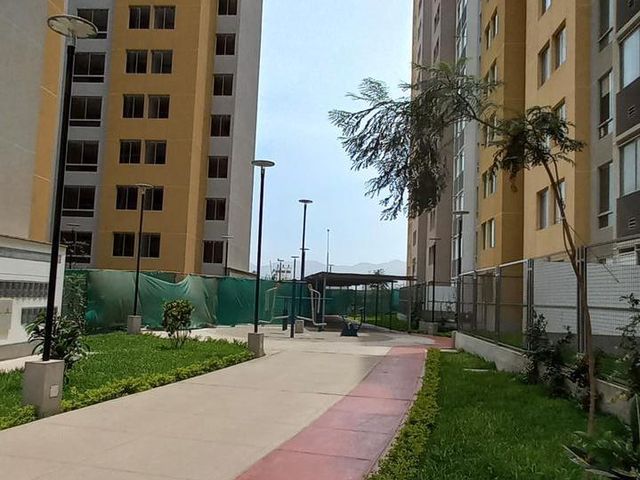 place photo 24