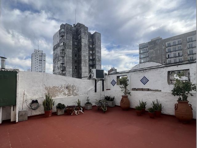 place photo 24