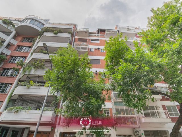 place photo 41