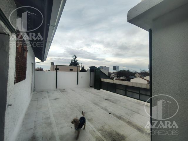 place photo 34
