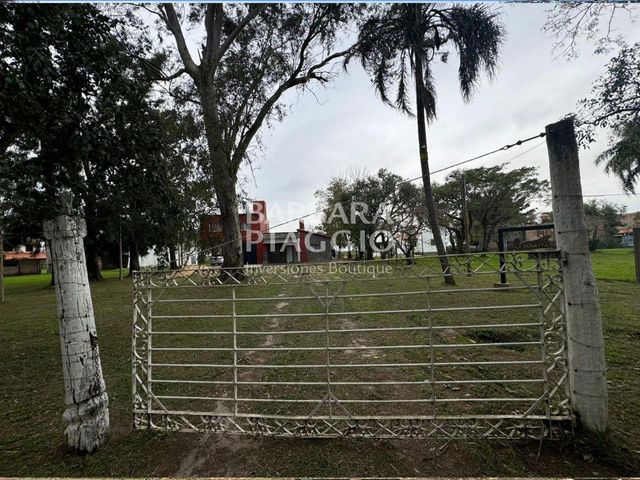 place photo 21