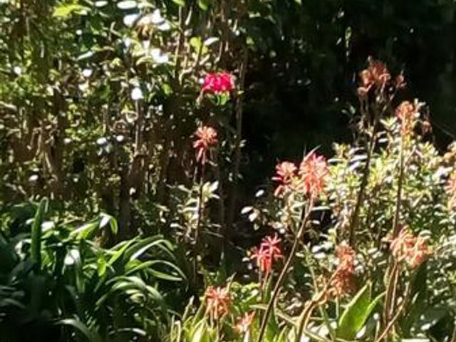 place photo 58