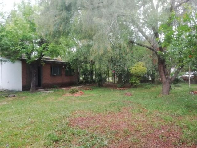 place photo 21