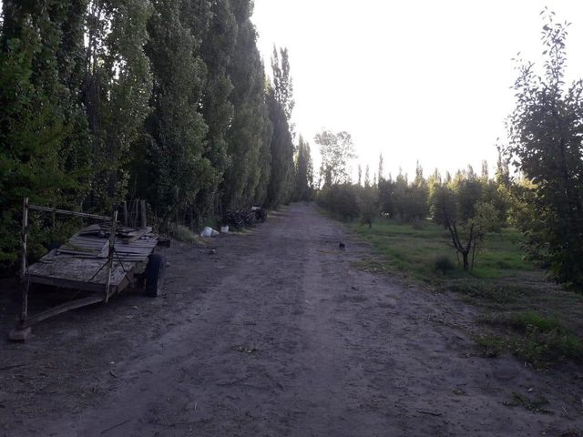 place photo 25