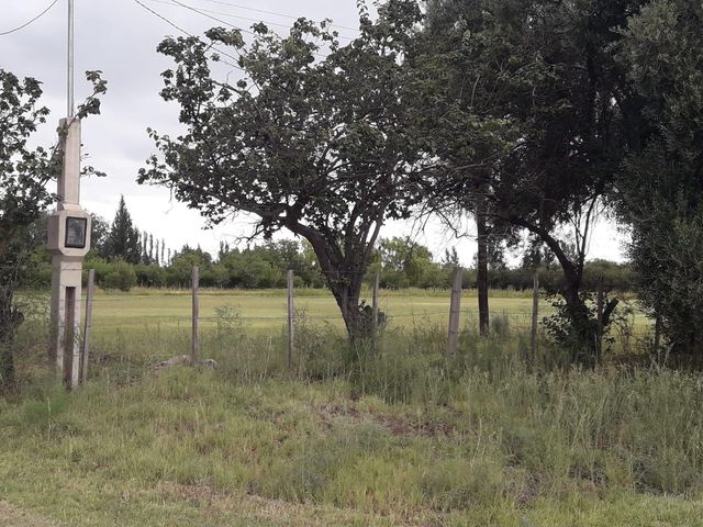 place photo 26