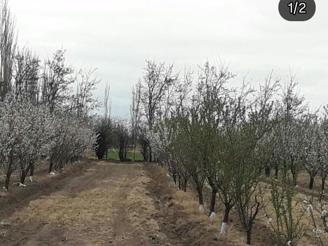 place photo 33