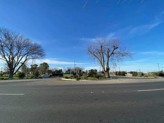 place photo 26