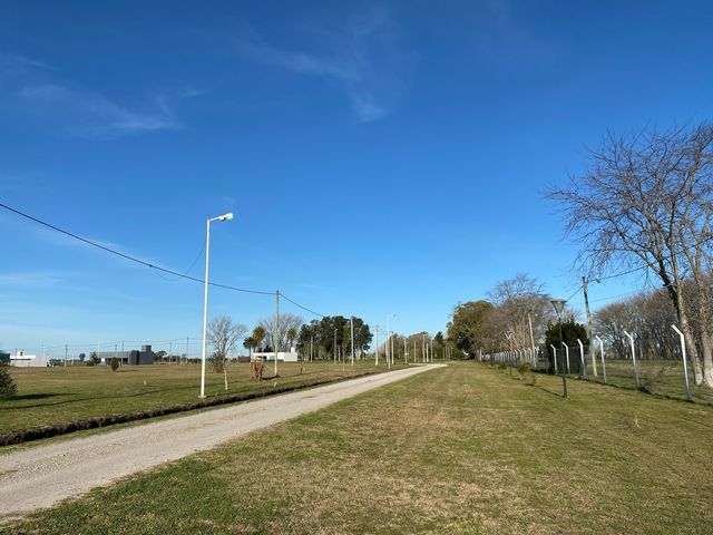 place photo 20