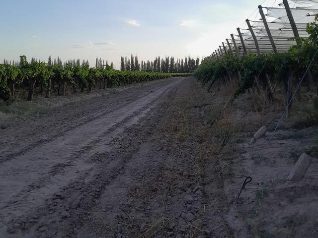 place photo 41