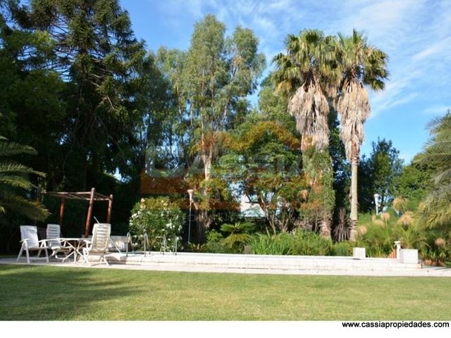 place photo 90