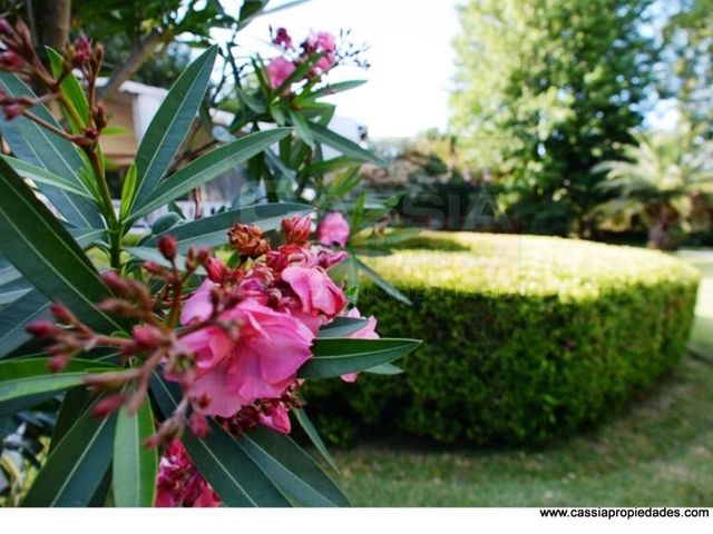 place photo 38