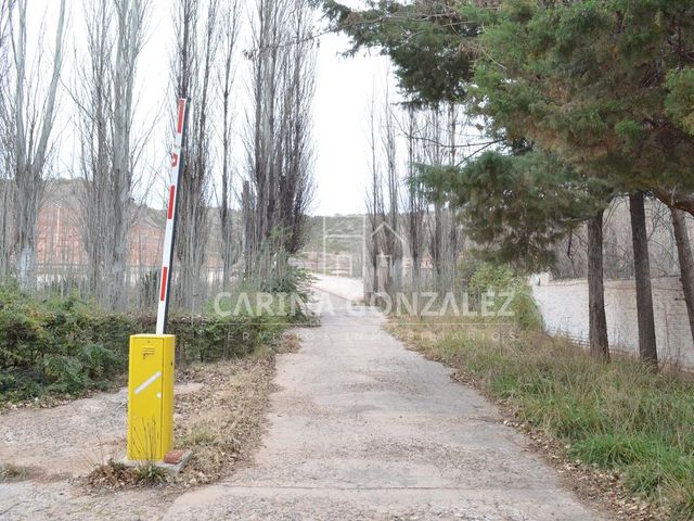 place photo 17