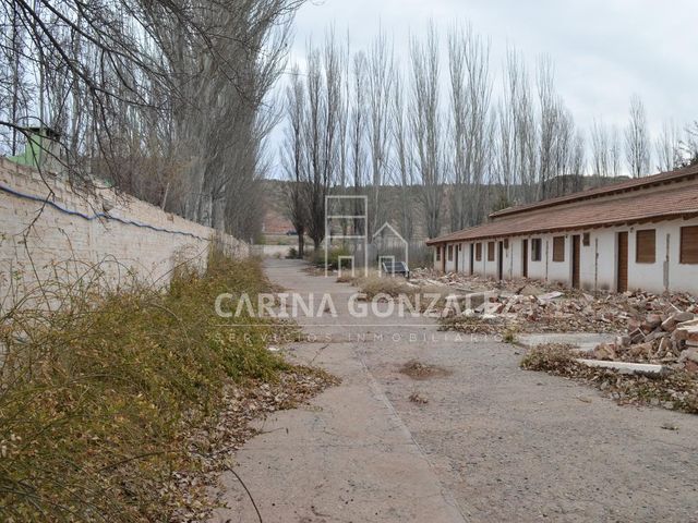 place photo 20