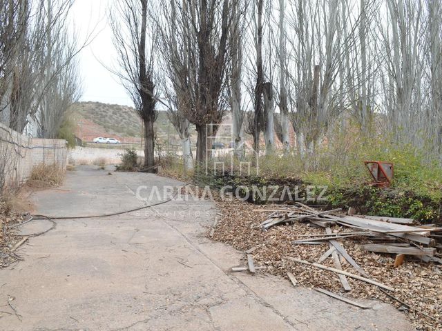 place photo 23