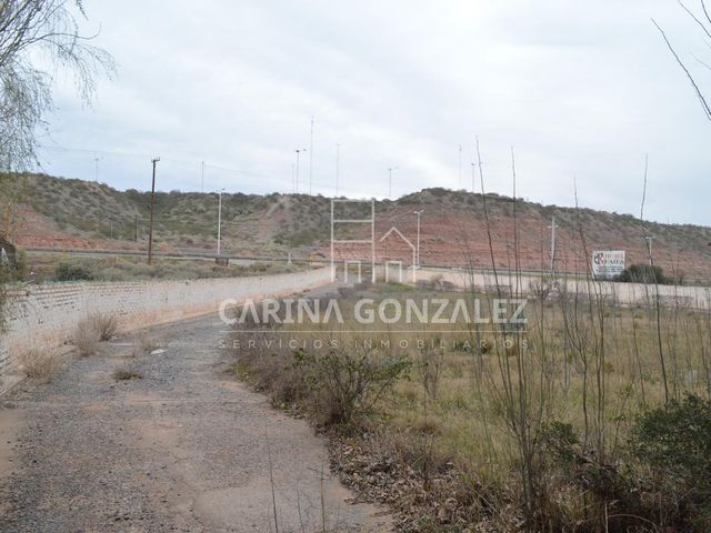 place photo 26